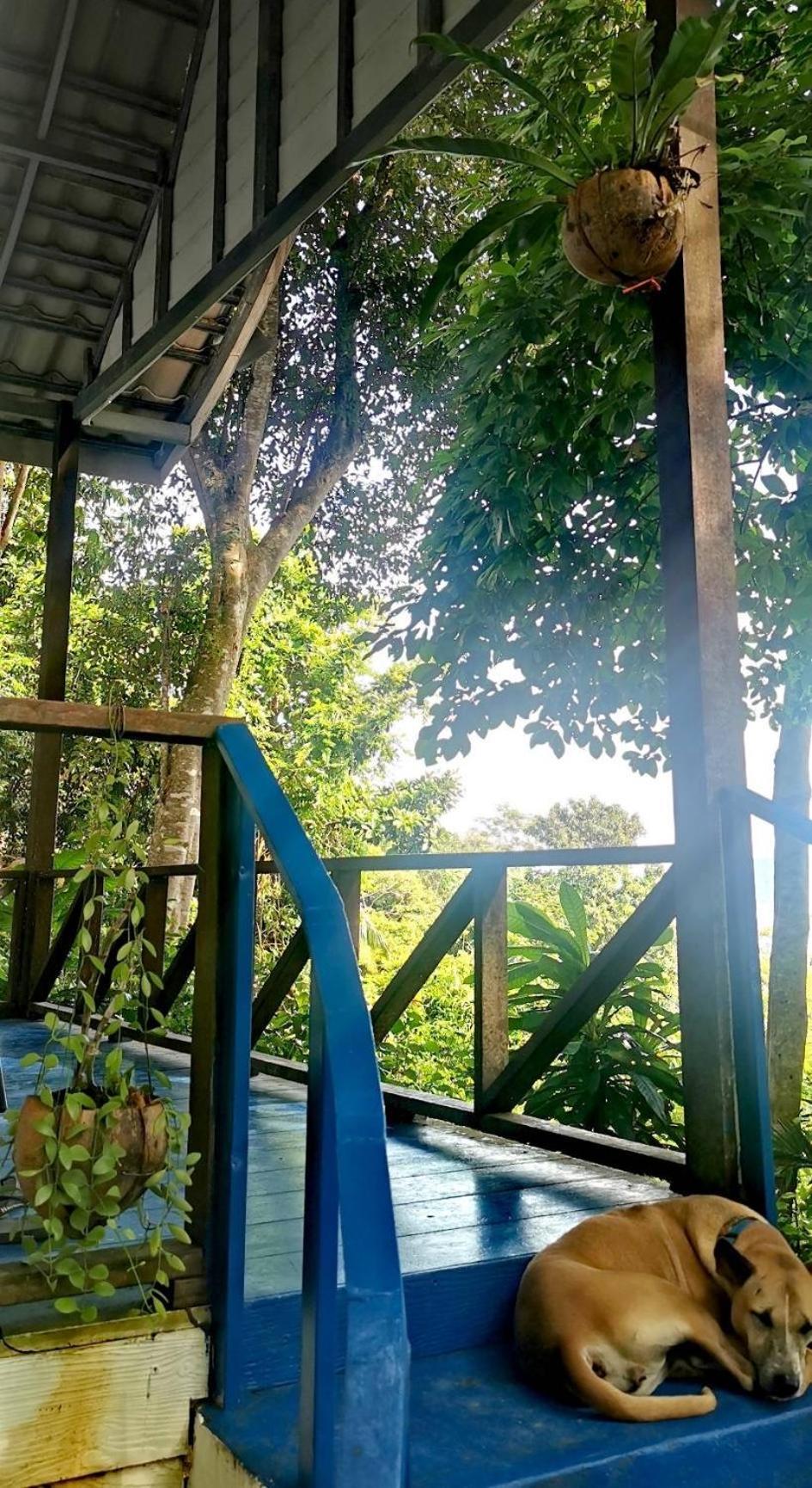 Rasta View Bangalows Koh Chang Buitenkant foto